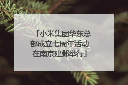 小米集团华东总部成立七周年活动在南京建邺举行