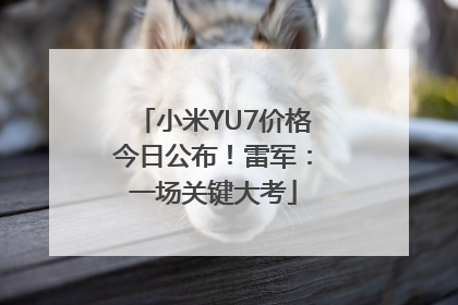 小米YU7价格今日公布！雷军：一场关键大考