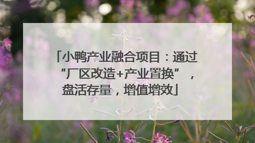 小鸭产业融合项目：通过“厂区改造+产业置换”，盘活存量，增值增效