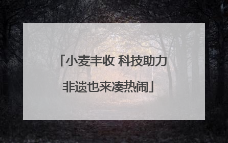 小麦丰收 科技助力 非遗也来凑热闹