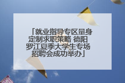 就业指导专区量身定制求职策略 德阳罗江夏季大学生专场招聘会成功举办