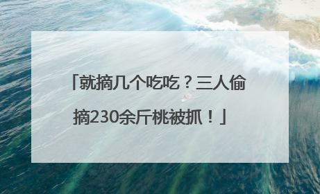 就摘几个吃吃？三人偷摘230余斤桃被抓！