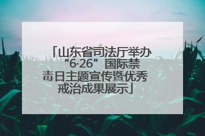 山东省司法厅举办“6·26”国际禁毒日主题宣传暨优秀戒治成果展示