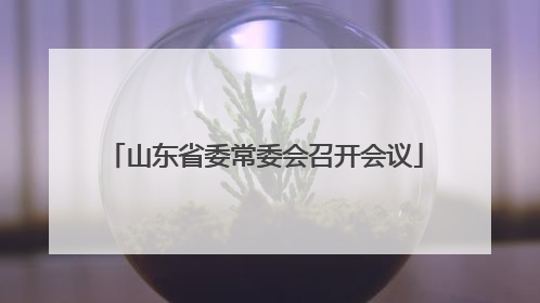 山东省委常委会召开会议