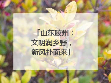 山东胶州：文明润乡野，新风扑面来