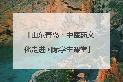 山东青岛：中医药文化走进国际学生课堂