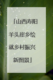 山西寿阳羊头崖乡绘就乡村振兴新图景