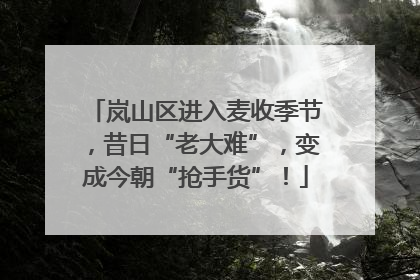 岚山区进入麦收季节，昔日“老大难”，变成今朝“抢手货”！
