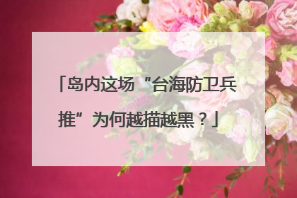 岛内这场“台海防卫兵推”为何越描越黑？