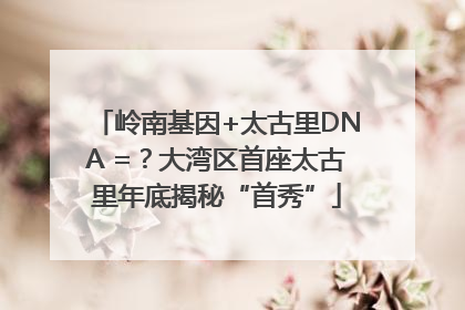 岭南基因+太古里DNA =？大湾区首座太古里年底揭秘“首秀”