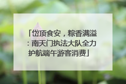 岱顶食安，粽香满溢：南天门执法大队全力护航端午游客消费