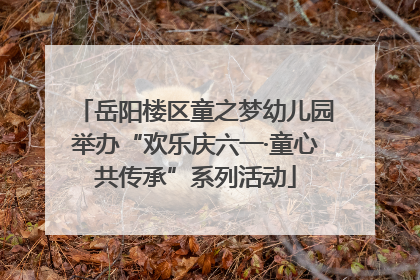 岳阳楼区童之梦幼儿园举办“欢乐庆六一·童心共传承”系列活动
