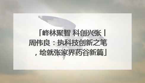 峰林聚智 科创兴张丨周伟良：执科技创新之笔，绘就张家界药谷新篇