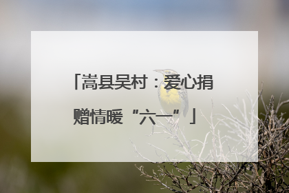 嵩县吴村：爱心捐赠情暖“六一”