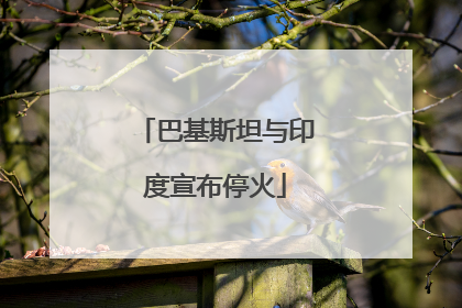巴基斯坦与印度宣布停火