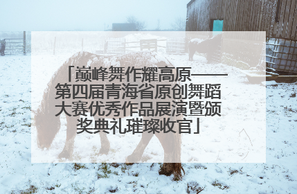 巅峰舞作耀高原——第四届青海省原创舞蹈大赛优秀作品展演暨颁奖典礼璀璨收官