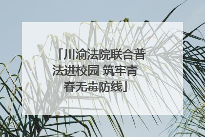 川渝法院联合普法进校园 筑牢青春无毒防线