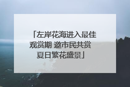 左岸花海进入最佳观赏期 邀市民共赏夏日繁花盛景