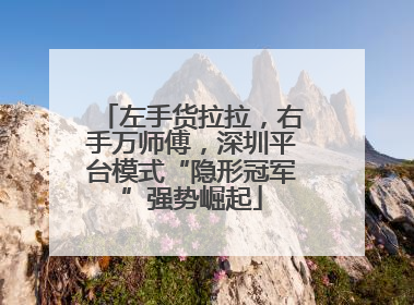 左手货拉拉，右手万师傅，深圳平台模式“隐形冠军”强势崛起