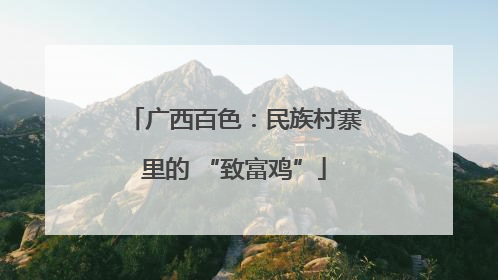 广西百色：民族村寨里的 “致富鸡”