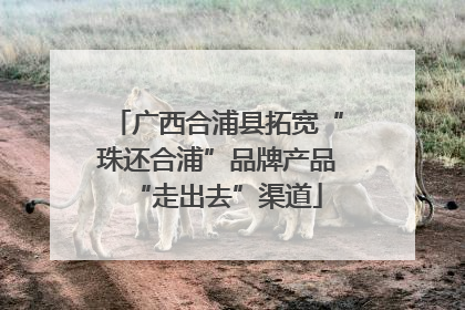 广西合浦县拓宽“珠还合浦”品牌产品“走出去”渠道