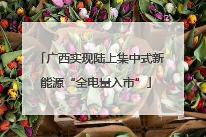 广西实现陆上集中式新能源“全电量入市”
