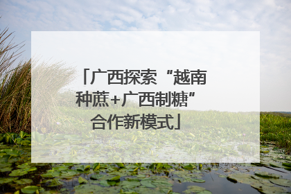 广西探索“越南种蔗+广西制糖”合作新模式