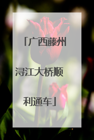 广西藤州浔江大桥顺利通车