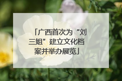 广西首次为“刘三姐”建立文化档案并举办展览