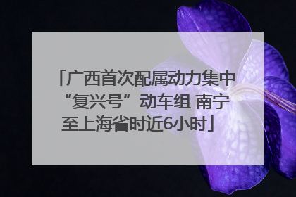 广西首次配属动力集中“复兴号”动车组 南宁至上海省时近6小时