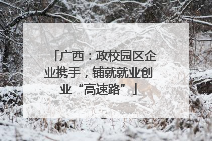 广西：政校园区企业携手，铺就就业创业“高速路”