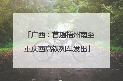广西：首趟梧州南至重庆西高铁列车发出