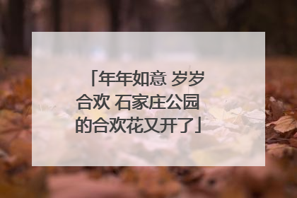 年年如意 岁岁合欢 石家庄公园的合欢花又开了