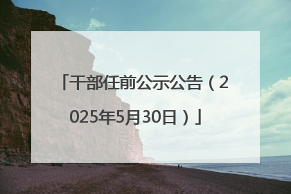 干部任前公示公告（2025年5月30日）