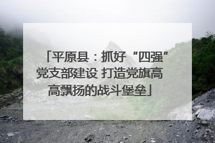 平原县：抓好“四强”党支部建设 打造党旗高高飘扬的战斗堡垒