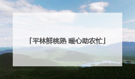 平林鲜桃熟 暖心助农忙