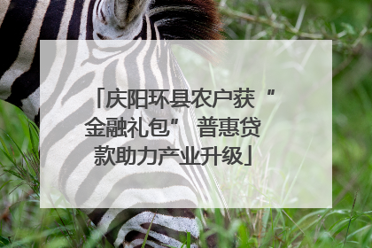 庆阳环县农户获“金融礼包” 普惠贷款助力产业升级