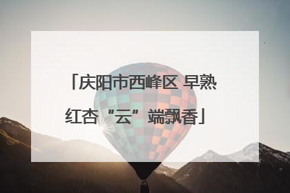 庆阳市西峰区 早熟红杏“云”端飘香