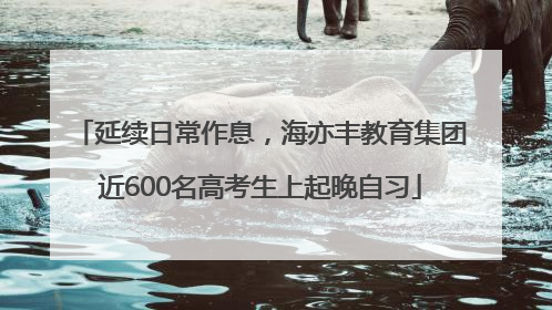 延续日常作息，海亦丰教育集团近600名高考生上起晚自习