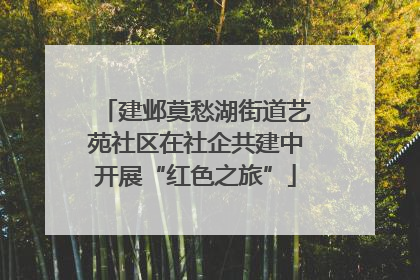 建邺莫愁湖街道艺苑社区在社企共建中开展“红色之旅”