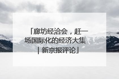 廊坊经洽会，赶一场国际化的经济大集｜新京报评论