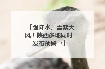 强降水、雷暴大风！陕西多地同时发布预警→