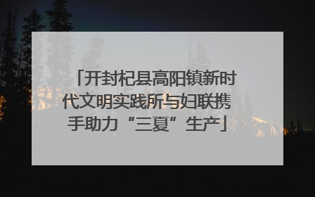 开封杞县高阳镇新时代文明实践所与妇联携手助力“三夏”生产