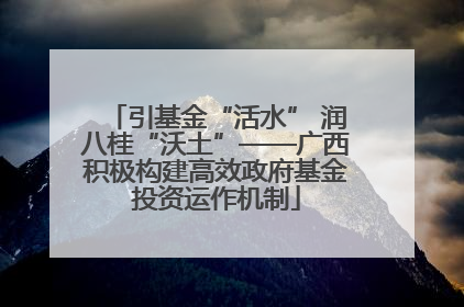引基金“活水” 润八桂“沃土”——广西积极构建高效政府基金投资运作机制