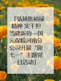 弘扬焦裕禄精神 实干担当建新功—国元保险河南分公司开展“迎七一”主题党日活动