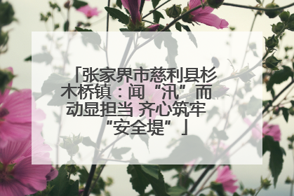 张家界市慈利县杉木桥镇：闻“汛”而动显担当 齐心筑牢“安全堤”