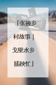 张掖乡村故事｜戈壁水乡插秧忙