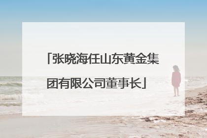 张晓海任山东黄金集团有限公司董事长