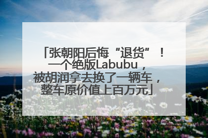 张朝阳后悔“退货”！一个绝版Labubu，被胡润拿去换了一辆车，整车原价值上百万元