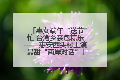 惠女端午“送节”忙 台湾乡亲包粽乐——惠安西头村上演最甜“两岸对话”